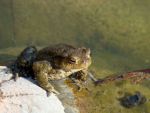 Ąāņīš: alio-nka
Dydis: 640x482, 390015 baitų
Atnaujinta: 31-08-2014, 20:00
Peržiūrų: išj
''Už'' balsavo: 3
Reitingas: 0.97