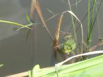 Ąāņīš: Amore...
Dydis: 640x480, 32545 baitų
Atnaujinta: 31-08-2014, 20:00
Peržiūrų: išj
''Už'' balsavo: 1
Reitingas: 0.32