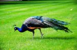 Ąāņīš: tofista
Dydis: 640x424, 59972 baitų
Atnaujinta: 03-09-2014, 16:32
Peržiūrų: išj
''Už'' balsavo: 3
Reitingas: 0.97
