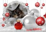 Ąāņīš: busycat
Dydis: 601x424, 144857 baitų
Atnaujinta: 18-12-2014, 19:08
Peržiūrų: išj
''Už'' balsavo: 12
Reitingas: 5.69