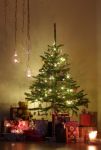Ąāņīš: Valerija
Dydis: 429x640, 92876 baitų
Atnaujinta: 17-12-2014, 15:20
Peržiūrų: išj
''Už'' balsavo: 11
Reitingas: 6.11