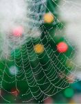 Ąāņīš: Medona
Dydis: 505x640, 143262 baitų
Atnaujinta: 17-12-2014, 17:06
Peržiūrų: išj
''Už'' balsavo: 13
Reitingas: 7.22