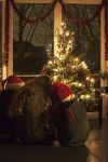 Ąāņīš: Lapyna
Dydis: 427x640, 50659 baitų
Atnaujinta: 17-12-2014, 17:41
Peržiūrų: išj
''Už'' balsavo: 6
Reitingas: 3.33
