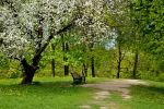 Ąāņīš: hi (:
Dydis: 640x426, 154636 baitų
Atnaujinta: 20-05-2015, 17:22
Peržiūrų: išj
''Už'' balsavo: 5
Reitingas: 2.44