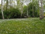 Ąāņīš: Įdomi
Dydis: 640x480, 111714 baitų
Atnaujinta: 29-05-2015, 14:30
Peržiūrų: išj
''Už'' balsavo: 3
Reitingas: 1.46