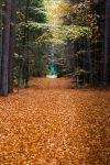 Ąāņīš: S..K..
Dydis: 420x630, 499316 baitų
Atnaujinta: 20-10-2015, 16:48
Peržiūrų: išj
''Už'' balsavo: 29
Reitingas: 14.43
Viso: I vieta