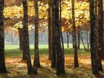 Ąāņīš: SSSema
Dydis: 640x480, 144310 baitų
Atnaujinta: 20-10-2015, 16:47
Peržiūrų: išj
''Už'' balsavo: 5
Reitingas: 2.49