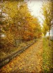 Ąāņīš: REER
Dydis: 464x640, 102049 baitų
Atnaujinta: 21-10-2015, 16:27
Peržiūrų: išj
''Už'' balsavo: 8
Reitingas: 3.98