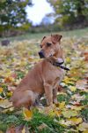 Ąāņīš: eliss
Dydis: 427x640, 214692 baitų
Atnaujinta: 21-10-2015, 20:04
Peržiūrų: išj
''Už'' balsavo: 3
Reitingas: 1.49