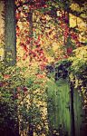 Ąāņīš: Snobė
Dydis: 408x640, 103955 baitų
Atnaujinta: 22-10-2015, 18:25
Peržiūrų: išj
''Už'' balsavo: 14
Reitingas: 6.97