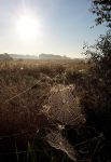 Ąāņīš: Dzenete
Dydis: 441x640, 62176 baitų
Atnaujinta: 23-10-2015, 22:53
Peržiūrų: išj
''Už'' balsavo: 6
Reitingas: 2.99