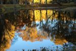 Ąāņīš: Bjjanka
Dydis: 640x427, 76388 baitų
Atnaujinta: 24-10-2015, 21:09
Peržiūrų: išj
''Už'' balsavo: 16
Reitingas: 7.96
Viso: II vieta